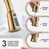 WOWOW Kitchen Faucet with Sprayer,Gold Single Handle High Arc Stainless