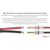 Nakami 4pcs 24k Gold Plated 4mm Banana Plug Cable Audio