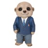 Vivid Arts Baby Meerkats (Schoolboy)