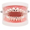 Psivika Gold Plated Shiny Hip Hop Teeth Grillz Caps Iced
