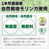本然農園 モリンガ青汁 RESCUE 健康青汁 粉末 マンジェリコン 自然派 ナチュナル 大麦若葉 食物繊維