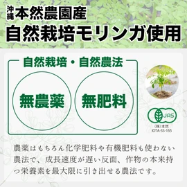 本然農園 モリンガ青汁 RESCUE 健康青汁 粉末 マンジェリコン 自然派 ナチュナル 大麦若葉 食物繊維 乳酸菌 黒糖 スーパーフード (10本入)