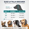 2PCS Orejeras contra ruido para perro, Orejeras ajustables para perro