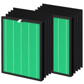 Hichoryer Airmega 150 Filter Replacement, Compatible with Coway Airmega 150 (AP-1019C) & Airmega 160 Air Purifiers, 2 True HEPA and 8 Enhanced Activated Carbon Filters, AP-1019C-FP