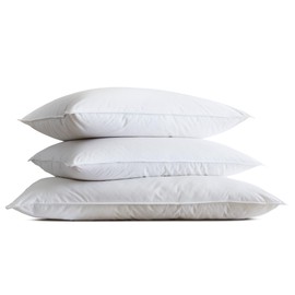Westin Feather & Down Pillow - Medium to Firm Support Feather and Down Pillow - Queen (20" x 30")