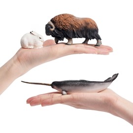 Toymany 12 PCS Animal Figure, Arctic Animal Figure Set, Arctic Circle, Realistic Polar Animals, Model, Popular Animals, Toys, Birthday Presents, Ornaments, Christmas, New Year, Collection, 6 Years Old