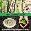 Gezond 100% Compostable Oval Paper Plates 12 Inch 100 Pack