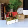 Dachshunds 2026 5.4" x 6.2" Box Calendar