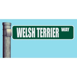 WELSH TERRIER WAY STREET SIGN HEAVY DUTY ALUMINUM ROAD SIGN 17" x 4"