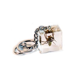 Real Spider Cube Keychain