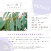 Eucalyptus Globulus, 0.3 fl oz (10 ml) e-aroma Essential Oil
