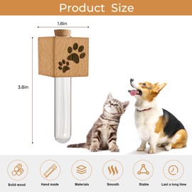 Cat Whisker Jar Fridge Magnet, Cat Whisker Vase, Tiny Vase for Cat Whisker, Loss of Cat Sympathy Gift, Cat Whisker Collector, Cat Whisker Holder, Beech Wood