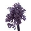 Daichi Farm DO003380-400 Preserved Flowers, Pepperberry Preserved, Purple, Approx. L