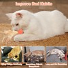 prota 6 PCS Cat Bouncy Ball With Feather, Bouncy Tails