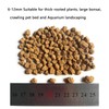 ZzbTwinkle Japanese Super Hard Akadama Bonsai Soil - Medium Grain