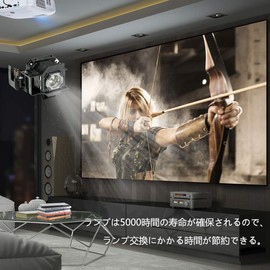 Rich Lighting Projector Replacement Lamp V13H010L33 ELPLP33 EPSON EMP-TW20 EMP-S3 EMP-TWD3 EMP-TWD1 (Universal Lamp)