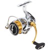 Daiwa LT3000 21 Freams