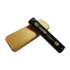 East top 22 Holes Professional Tremolo Harmonica for Adults (T22K-C)