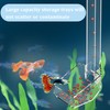 Acrylic Shrimp Feeder with Feeding Scoop and Cleaning Brush Transparent