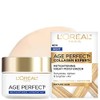L'Oreal Paris L'oreal paris dermo expo age perfect night cream,