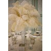 Shekyeon Piuma di struzzo fai da te, 40-45 cm, confezione