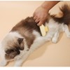 EMAGIC IOT 2pcs Cat Lice Comb Pet Hair Removal Tool