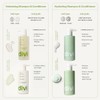 Divi Hydrating Shampoo and Conditioner Set, 2 x 12 oz,
