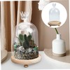 iplusmile Preserved Flower Glass Dome with Wooden Base Flat Bottom