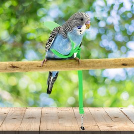 Dnoifne Pet Parrot Bird Harness and Lead, Adjustable Training Design, Anti-Bite, Bird Nylon Rope with Cute Wings for Parrots, Suitable for Alexandrin, Scarlet, Keck (Green)