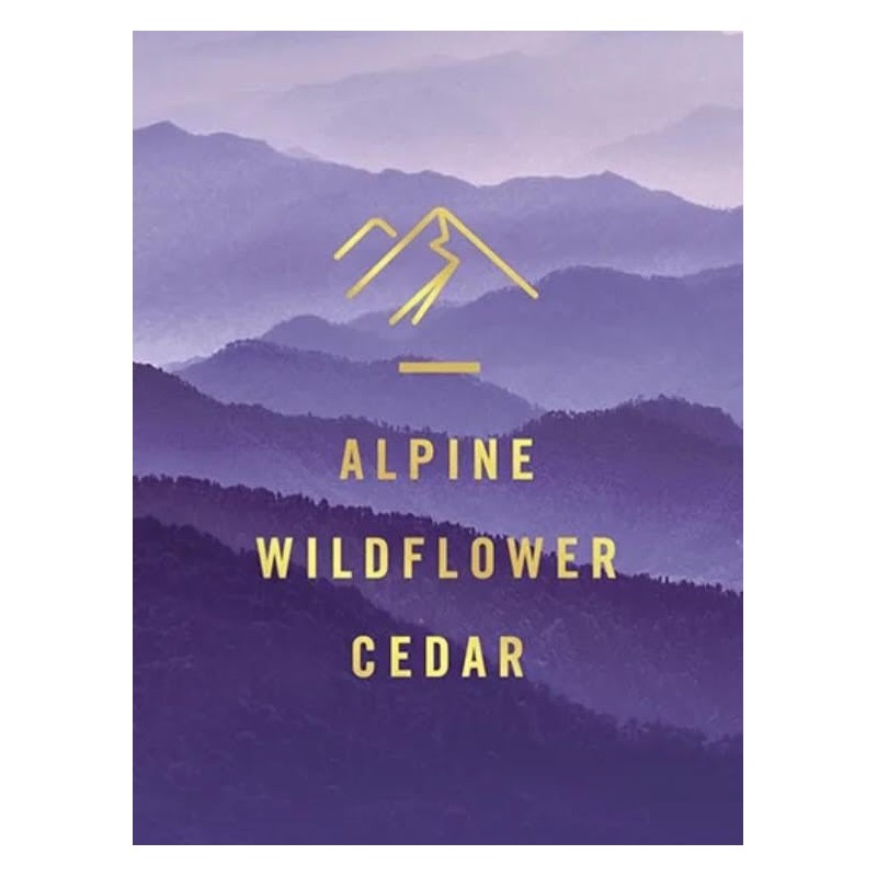 Febreze Small Spaces, Mountain Scent (1 count)