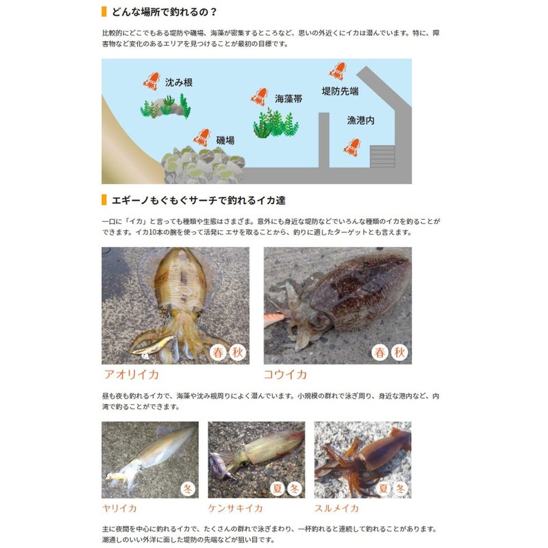 YAMASHITA 611915 Egi Egigno Mogumogu Search, No. 3.2, 003 Keimura