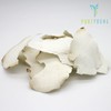 Imported Bokryeong 500g+500g+500g Baekbongryeong / 수입 복령 500g+500g+500g 백봉령