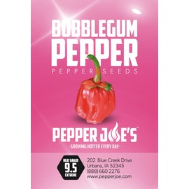Pepper Joe's Bubblegum Pepper Seeds – Pack of 10+ Super Hot Chili Seeds – USA Grown – Premium 7 Pot Pepper Seeds for Planting