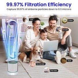 Future Way 2-Pack TP01 TP02 Filter Replacement Kit for Dyson Pure Cool Air Purifier, H13 True HEPA Filter, Replace Part 968126-03