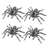 4 Pieces Realistic Spider, Plastic Fake Spider, Animal Mimicry Model,