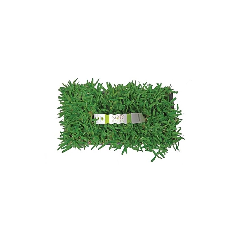 Cannot Ship California/Arizona SodPods® St Augustine Seville Grass Plugs (32Count)