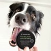Essential Dog Natural Nose & Paw Balm for Dogs, 50g