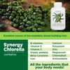 Synergy Natural Organic Chlorella 500mg 200t