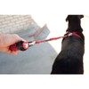 EzyDog Cujo Dog Lead, 25 inch, Red