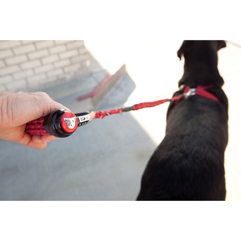 EzyDog Cujo Dog Lead, 25 inch, Red