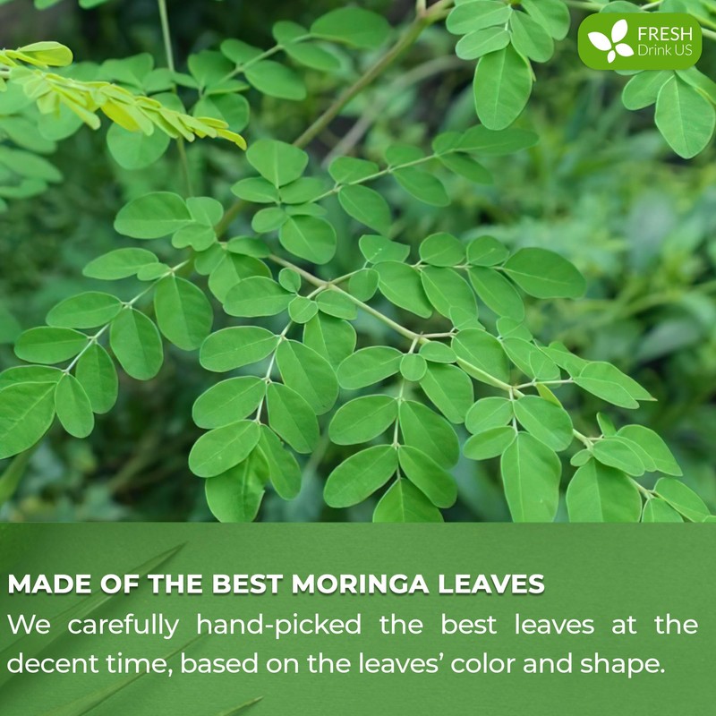 FreshDrinkUS, Premium 60 Moringa Leaf Tea Bags, 100% Natural &