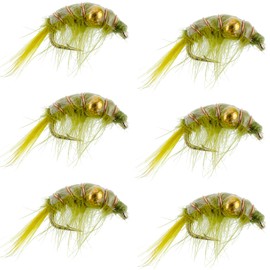 The Fly Fishing Place Olive Beaded Shrimp Scud Patterns- 6 Flies - Size 12 - Tailwater Lake Fly Fishing Nymph Flies