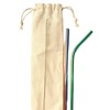 GIPEL Popotes de Acero Inoxidable Reusables - Set de 2