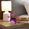 Red Bug Solar Powered Dancing Flower for Car, Car Windowsill