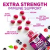 Zinc Supplement 50mg Gummies for Adults - Max Strength Skin