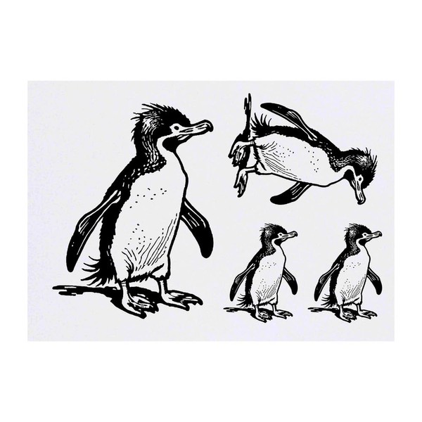 4 x 'Southern Rockhopper Penguin' Temporary Tattoos - Water Resistant,