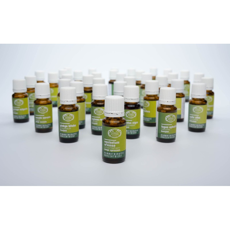 RATHAUS APOTHEKE WIEN Concentrated Bud Extract - Gemmotherapy - Equisetum