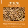 ChamGoods 참굿즈 호라산밀 복합효소 골드밸런스 150g 1통 / 곡물효소 카뮤트효소