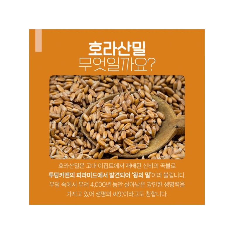 ChamGoods 참굿즈 호라산밀 복합효소 골드밸런스 150g 1통 / 곡물효소 카뮤트효소