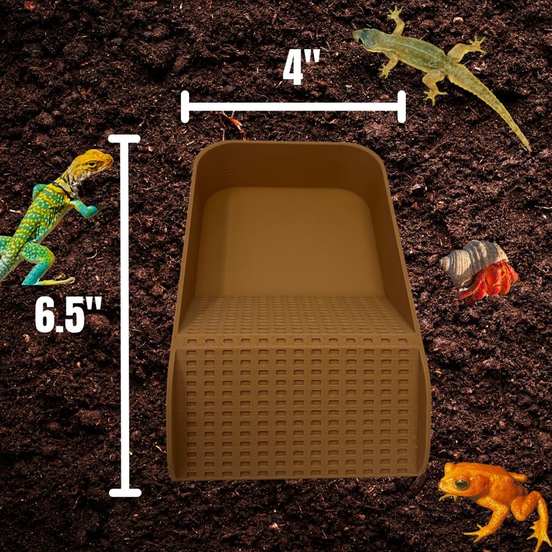 Hermit Crab Watering Pool | Platform Pool Accessory with Access
